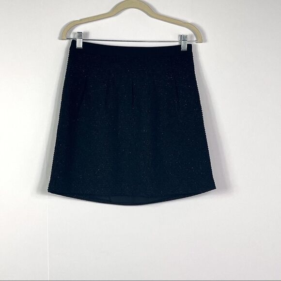 LOFT Petite Sparkle Pleated Full Skirt, size 2P - Picture 2 of 9